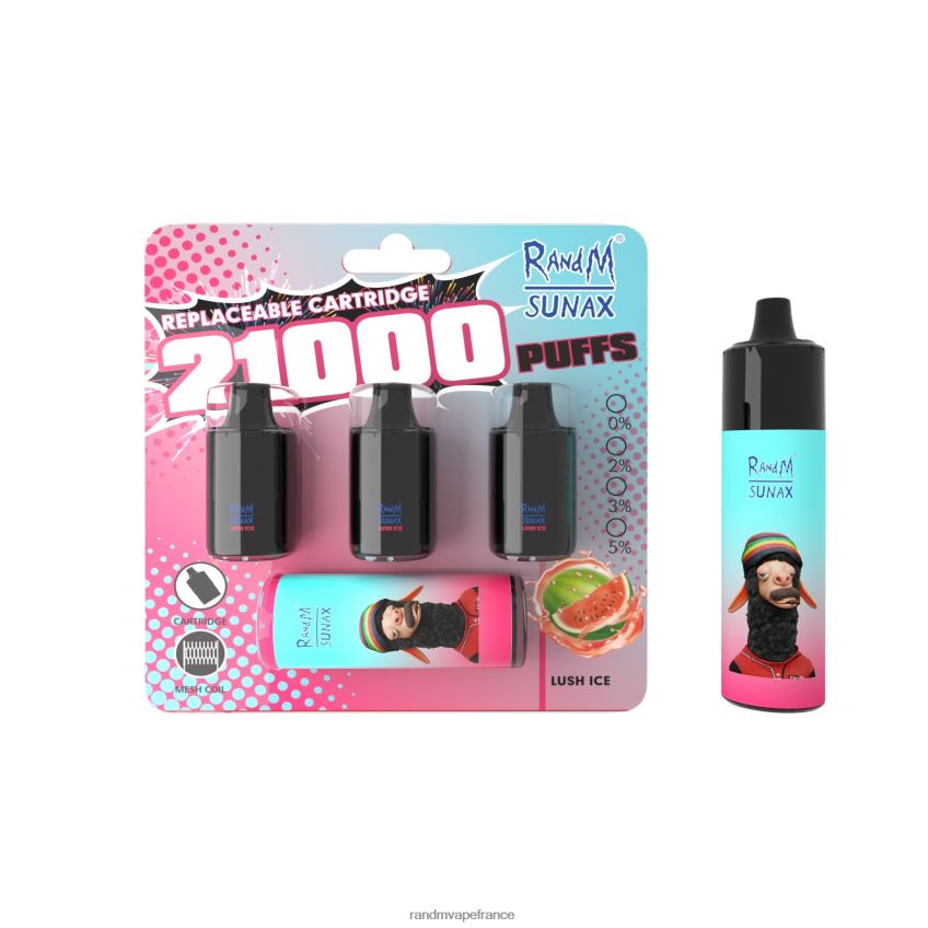 RandM Shop Avis - RandM Sunax Dispositif de vape remplaçable avec module de contrôle du flux d\'air 21000, 1 pièce Baies mélangées 8V0DL0270