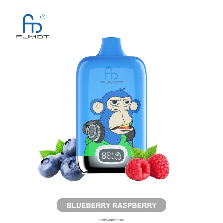 RandM Shop Avis - Fumot Original RandM Digital Box Batterie 12000 et dispositif de vape à affichage liquide sucette glacée 8V0DL010