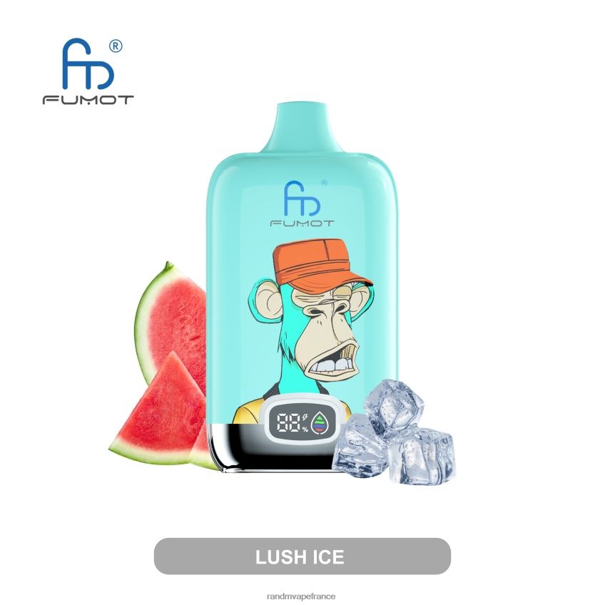 RandM Shop Avis - Fumot Original RandM Digital Box Batterie 12000 et dispositif de vape à affichage liquide sucette glacée 8V0DL010