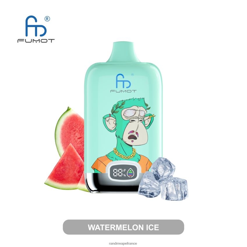 RandM Vape France - Fumot Original RandM Digital Box Batterie 12000 et dispositif de vape à affichage liquide glace à la pastèque 8V0DL02