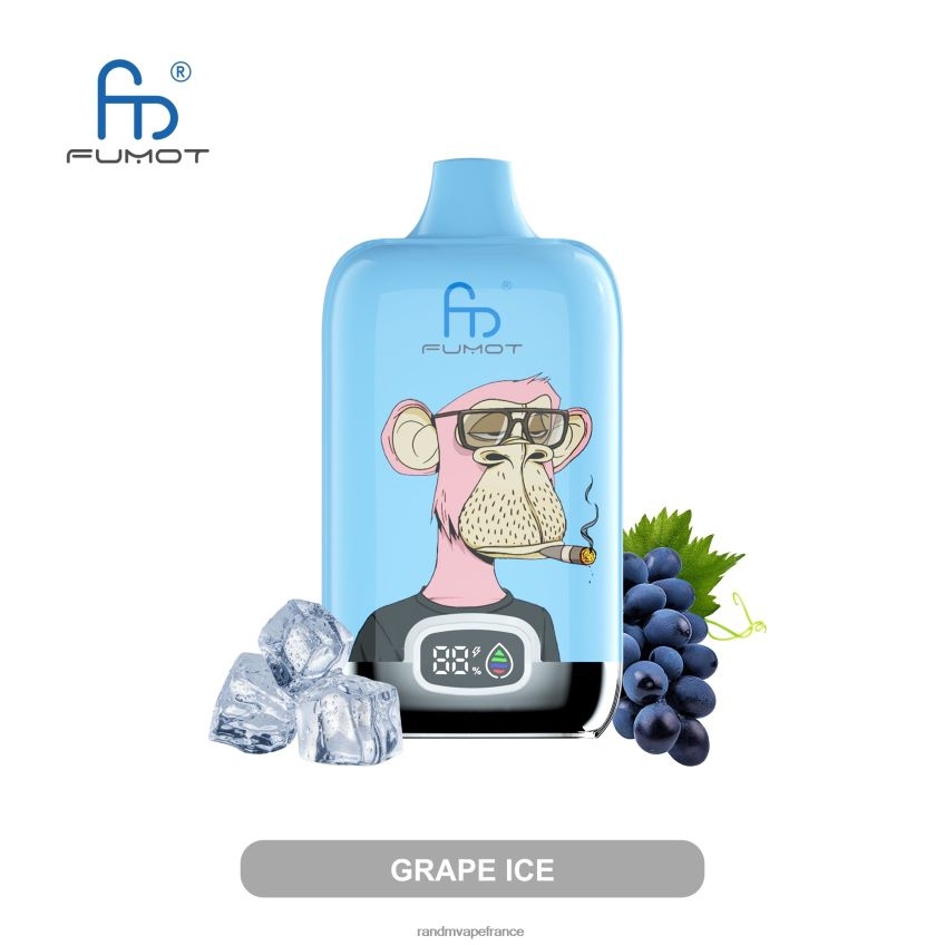 RandM Vape Paris - Fumot Original RandM Digital Box Batterie 12000 et dispositif de vape à affichage liquide glace aux raisins 8V0DL03