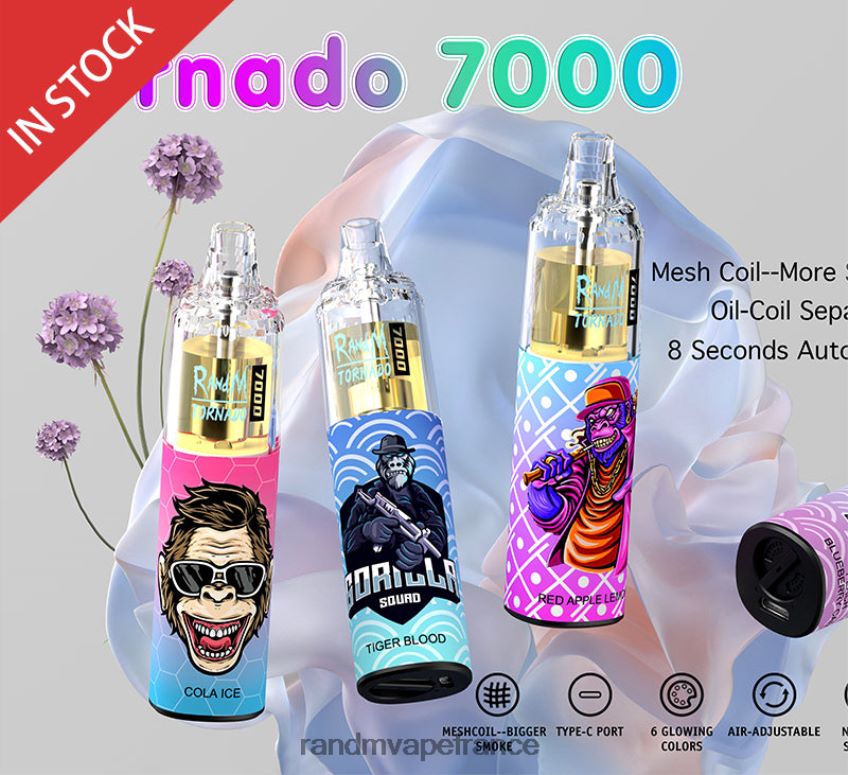 RandM Prix - RandM Tornado Dispositif de vape de contrôle du flux d\'air 7000 1 pièce Baies mélangées 8V0DL0176