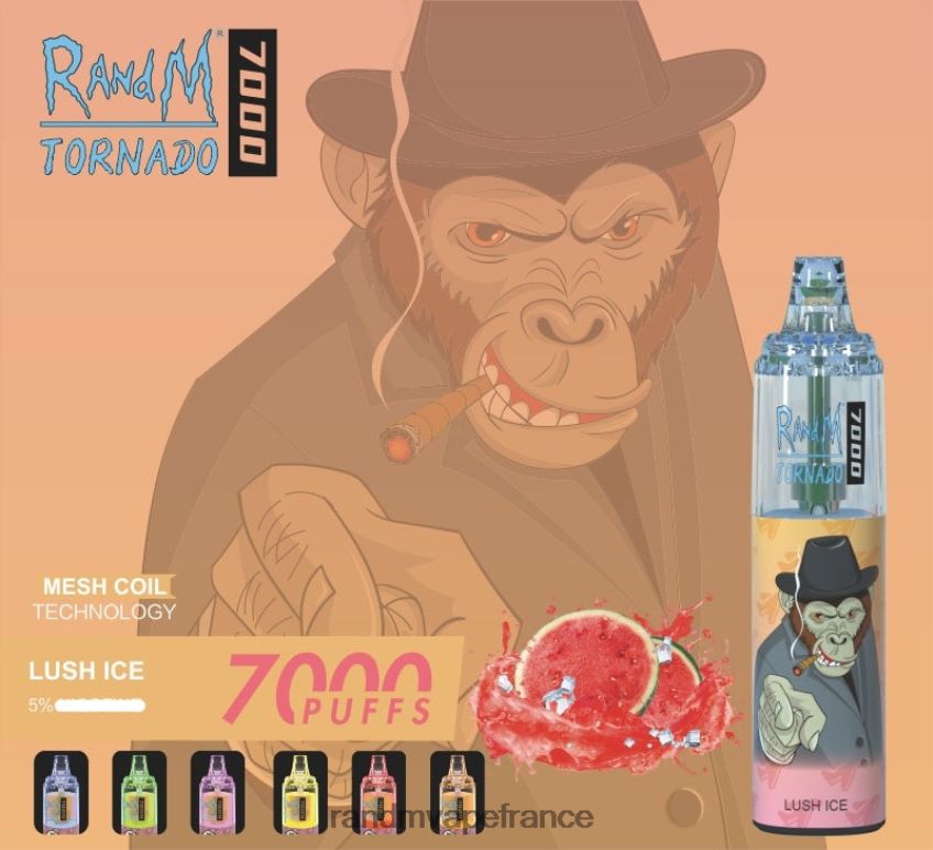 RandM Prix - RandM Tornado Dispositif de vape de contrôle du flux d\'air 7000 1 pièce Baies mélangées 8V0DL0176