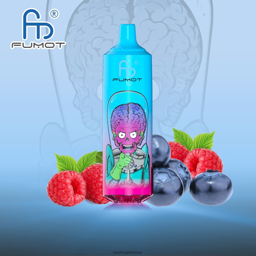 RandM Prix - Fumot RandM Tornado Appareil de vape 9000 pro avec batterie et écran ejuice version 1 myrtille framboise 8V0DL0186
