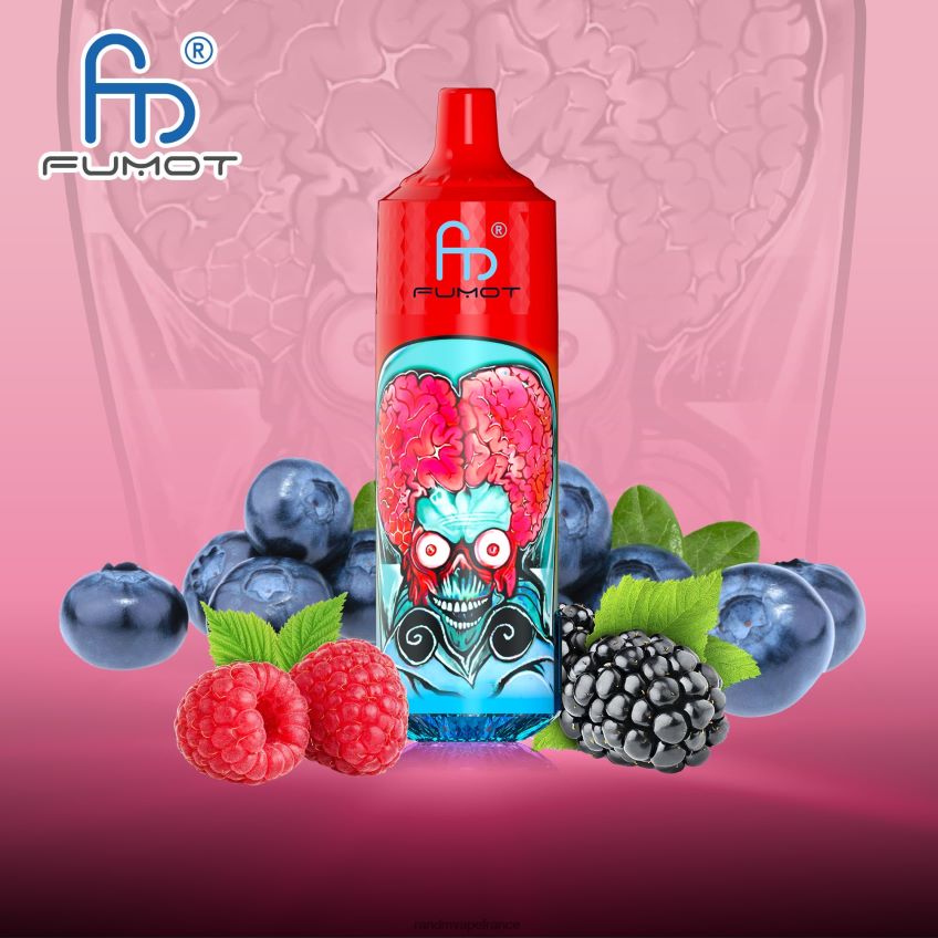 RandM Tornado France - Fumot RandM Tornado Appareil de vape 9000 pro avec batterie et écran ejuice version 1 myrtille, framboise aigre 8V0DL0191
