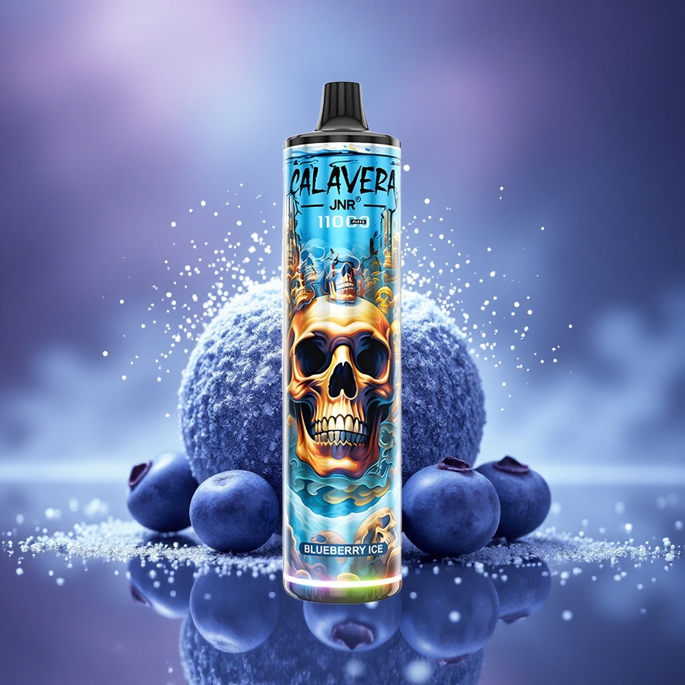 JNR Calavera 11000 Glace Myrtille Type-C 850mAh 21ml
