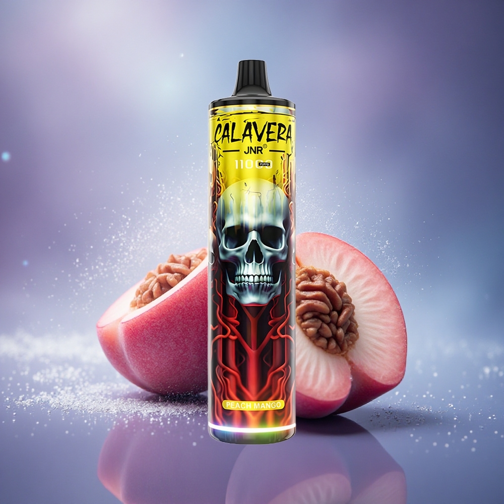 JNR Calavera 11000 Pêche Mangue Type-C 850mAh 21ml