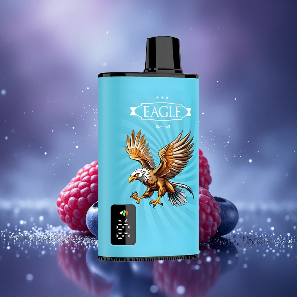 JNR EAGLE Smart 23000 Framboise Acidulée Myrtille Écran Digital Bobine Mesh 1.0ohm