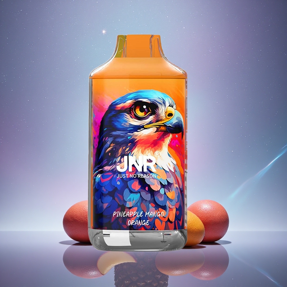 JNR Falcon 16000 Ananas Mangue Orange Dual Mesh 850mAh Type C