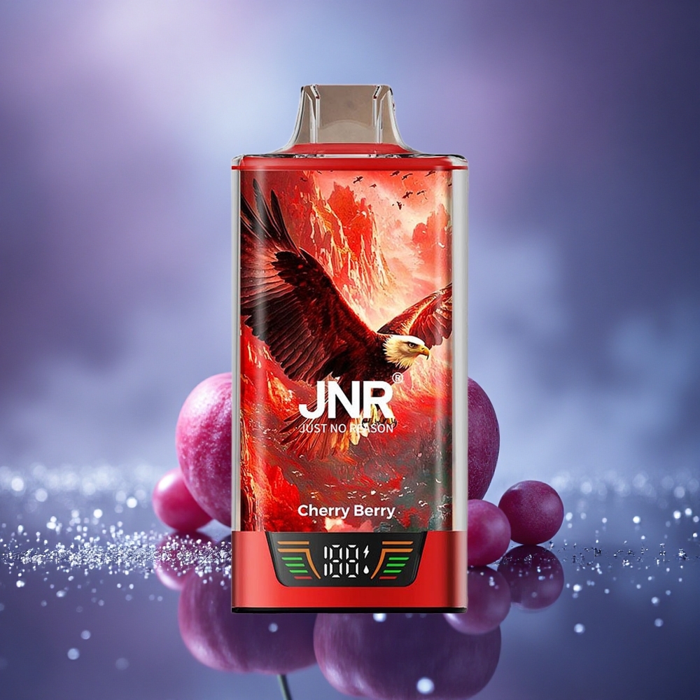 JNR Falcon Pro 28000 Baie Cerise 28000 Puffs Dual Mesh