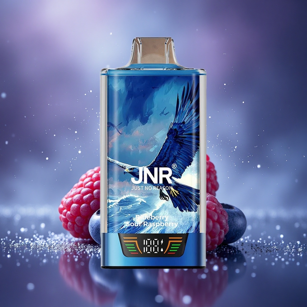 JNR Falcon Pro 28000 Framboise Acidulée Myrtille 30ml Dual Mesh USB-C