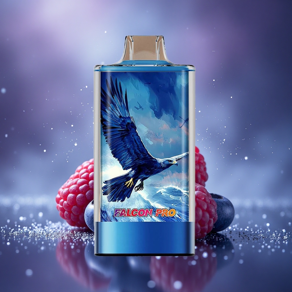 JNR Falcon Pro 28000 Framboise Acidulée Myrtille 30ml Dual Mesh USB-C