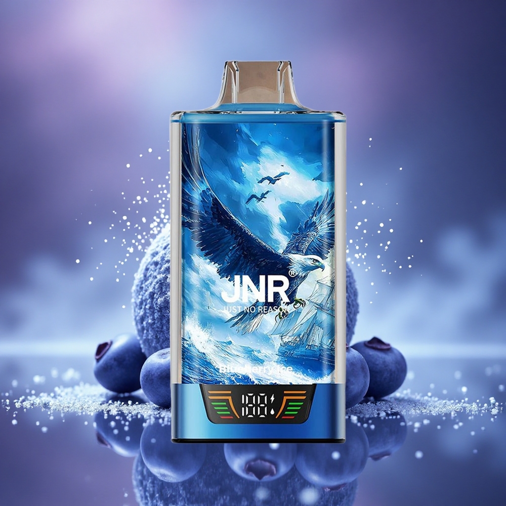 JNR Falcon Pro 28000 Glace Myrtille 28000 Puffs Dual Mesh