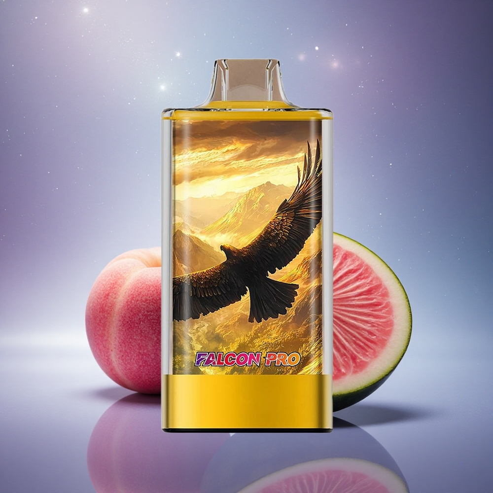JNR Falcon Pro 28000 Pêche Mangue Pastèque 30ml 950mAh Dual Mesh