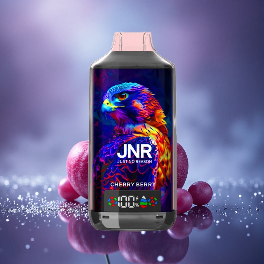 JNR Falcon X 18000 Baie Cerise Double Mesh 24ml 750mAh Type-C