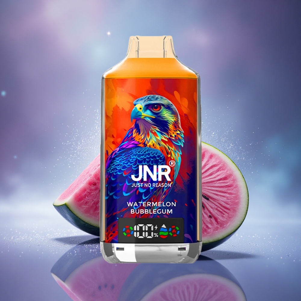 JNR Falcon X 18000 Chewing-gum Pastèque Dual Mesh 24ml Type-C