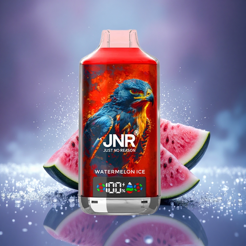 JNR Falcon X 18000 Glace Pastèque Dual Mesh 24ml