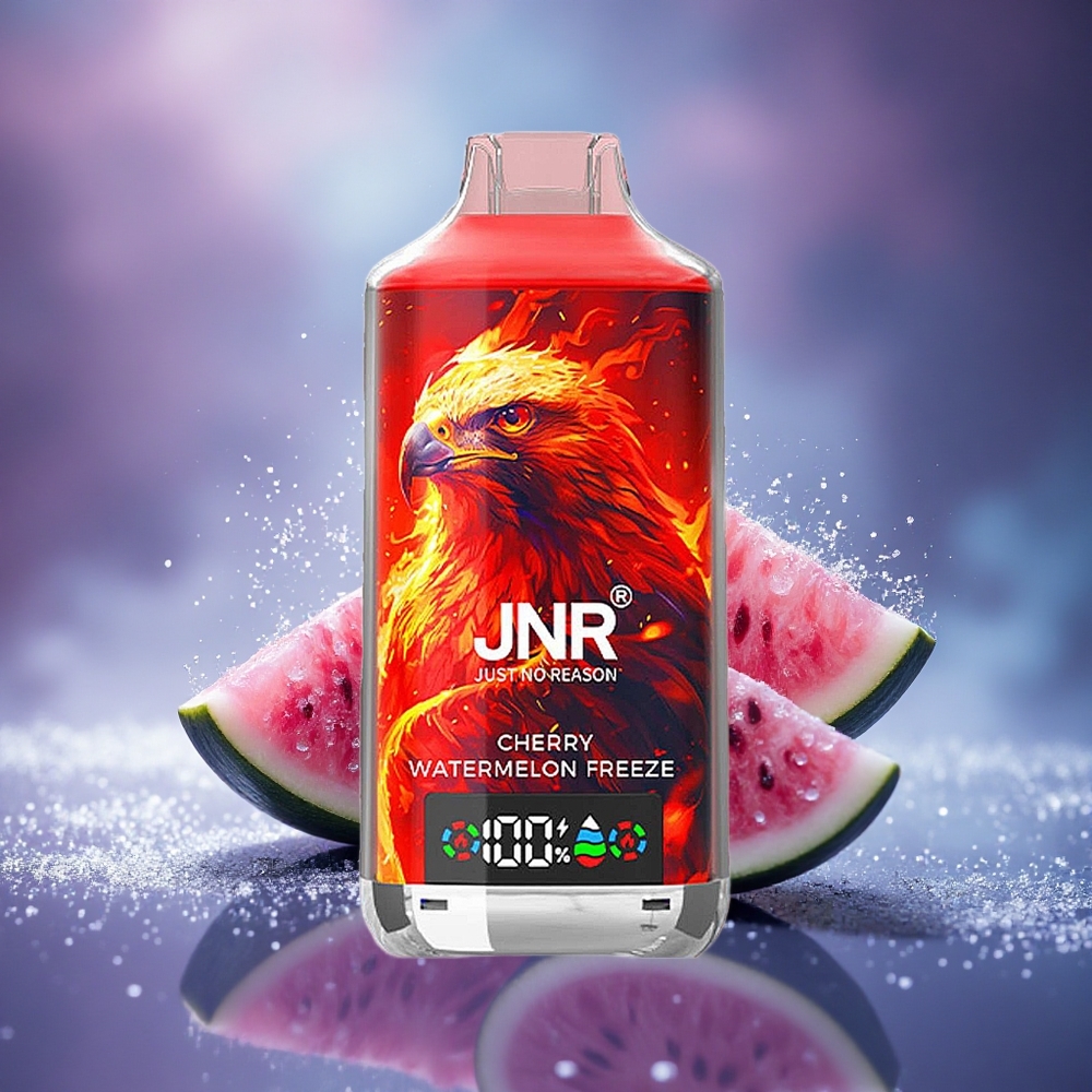 JNR Falcon X 18000 Glacier Pastèque Cerise Freeze Dual Mesh 24ml Type-C