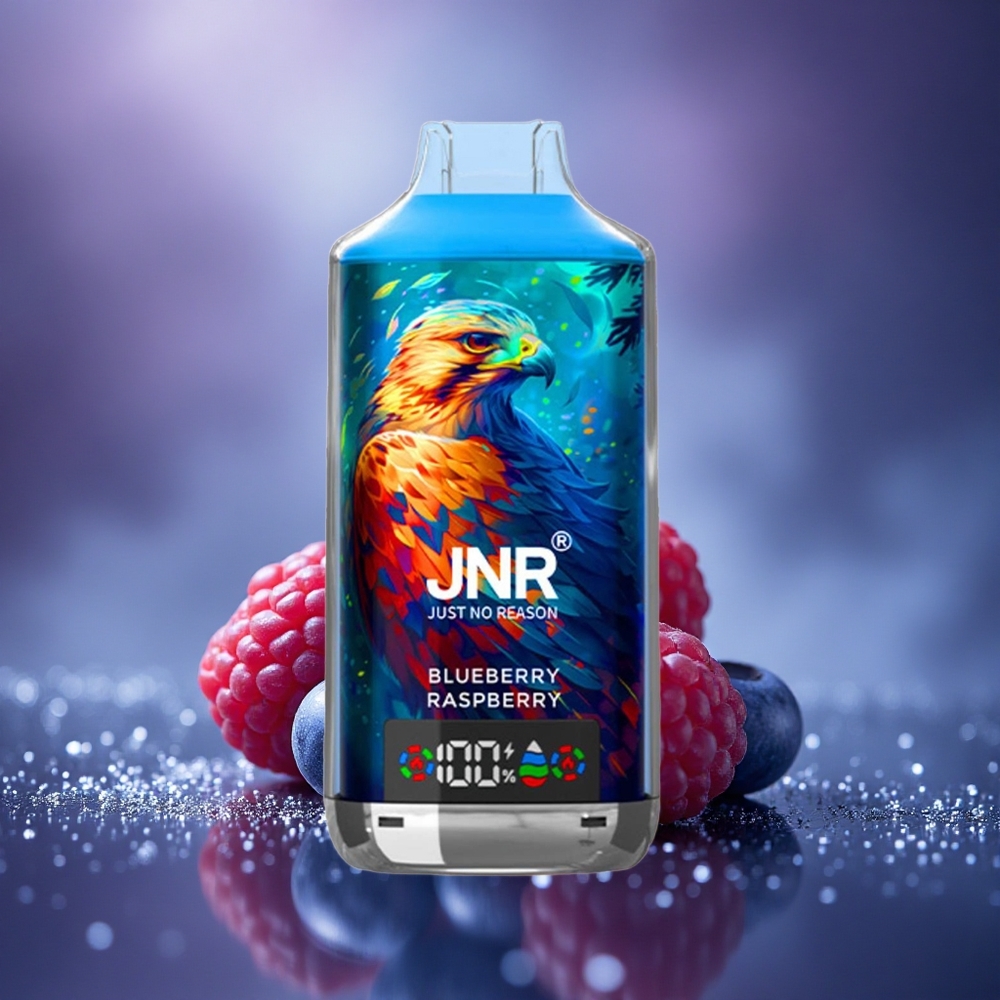 JNR Falcon X 18000 Myrtille Framboise 24ml Dual Mesh