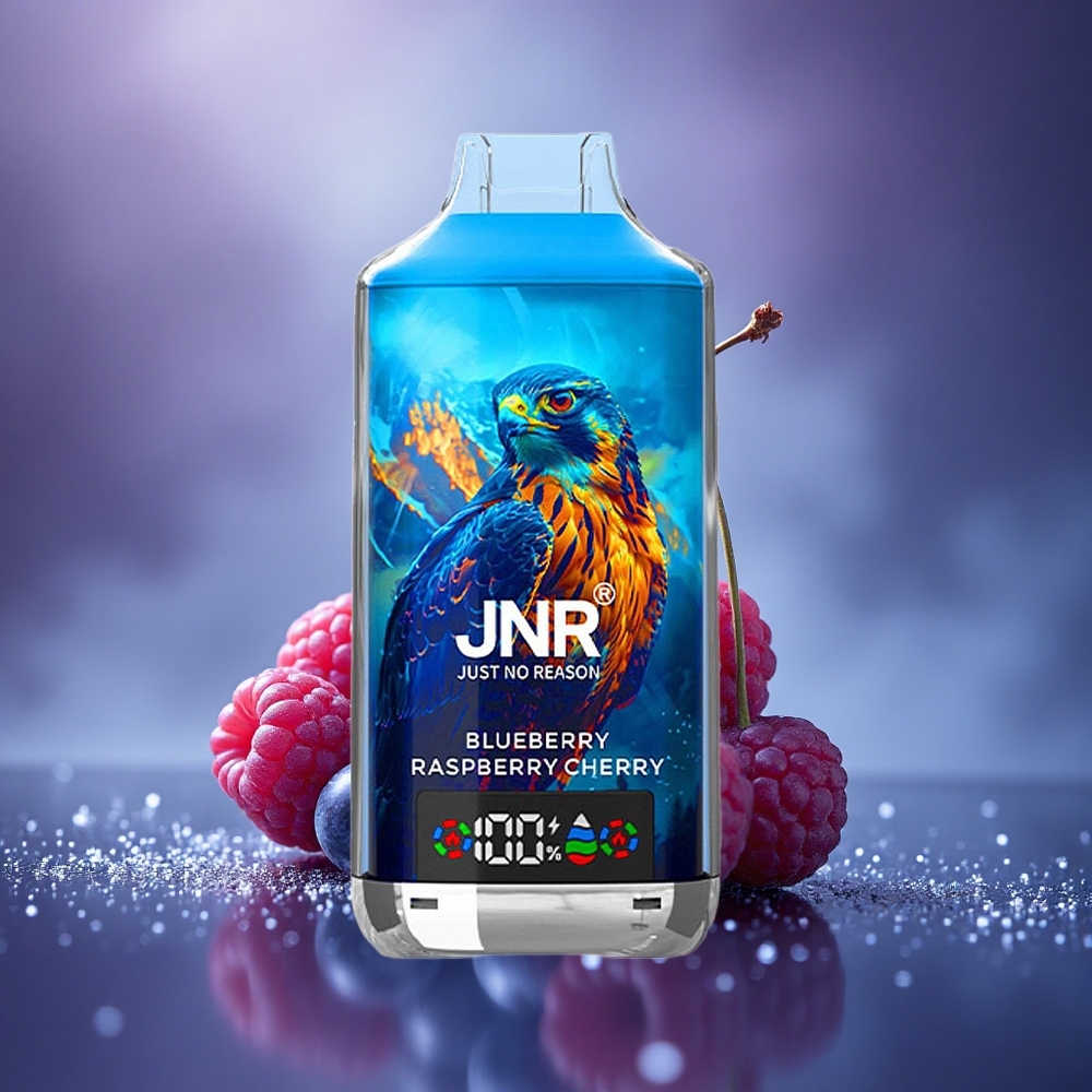 JNR Falcon X 18000 Myrtille Framboise Cerise 750mAh Double Mesh Affichage Digital Charge Rapide Type-C