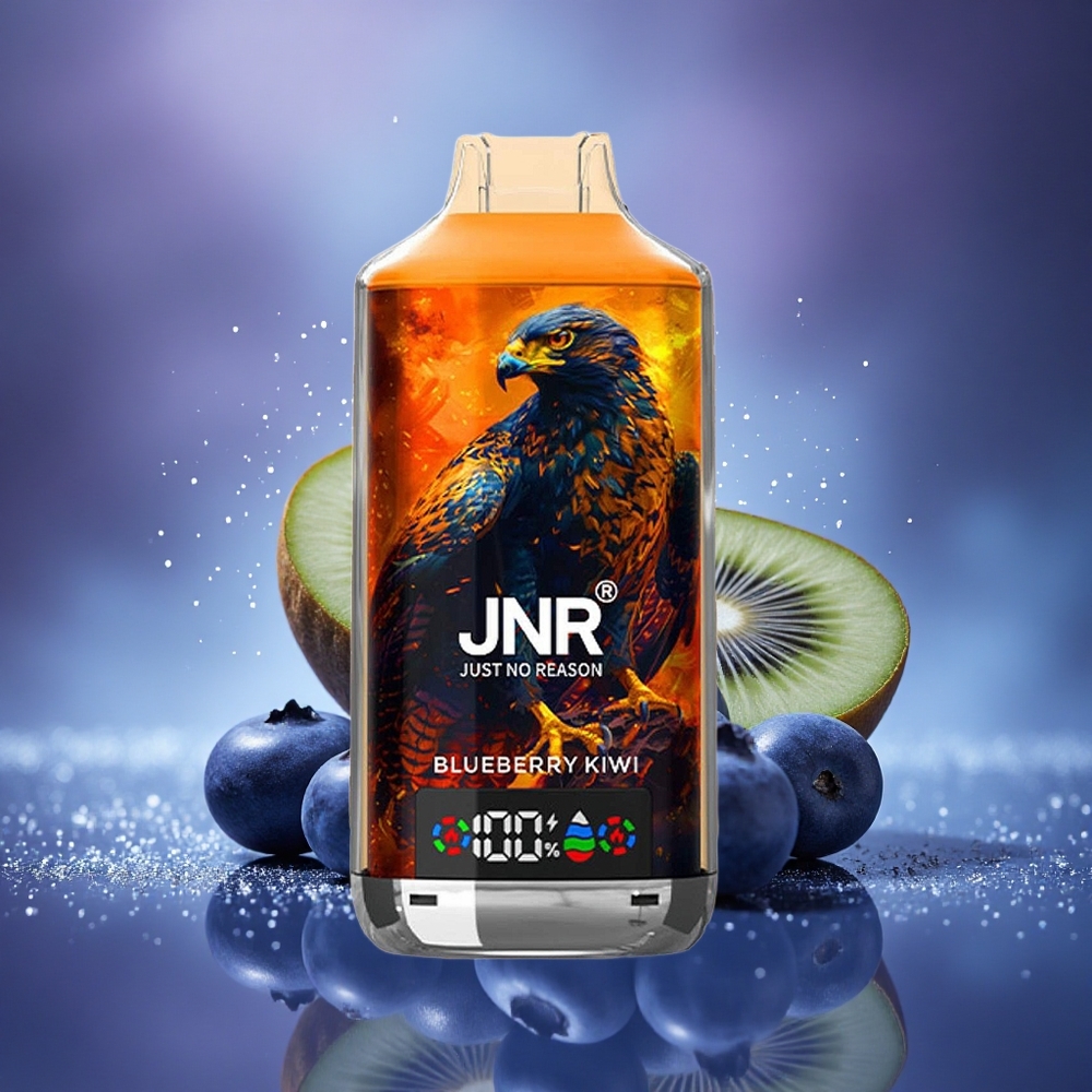 JNR Falcon X 18000 Myrtille Kiwi Dual Mesh 750mAh Type-C