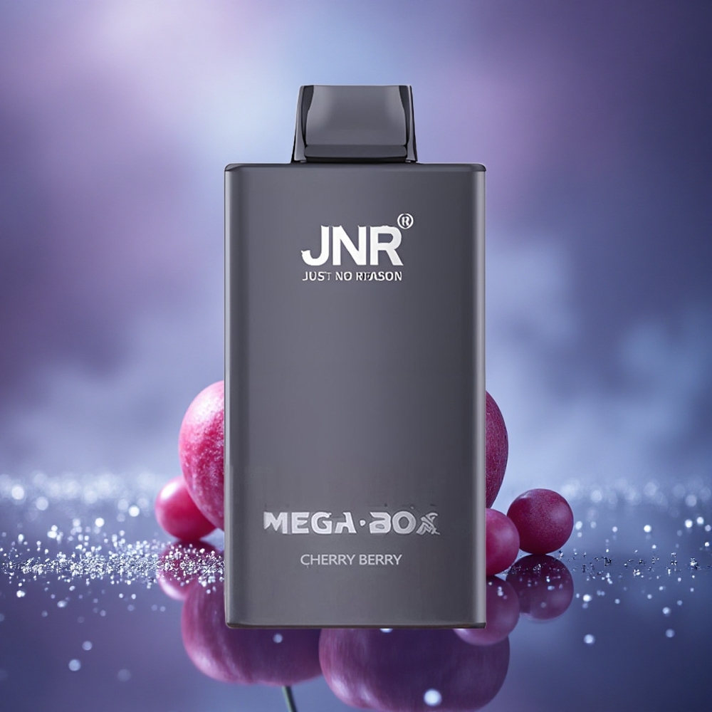 JNR Mega Box 25000 Baie Cerise Dual Core Charge Rapide