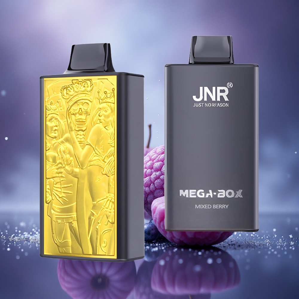 JNR Mega Box 25000 Baies Mixtes Dual Mesh 30ml Type-C