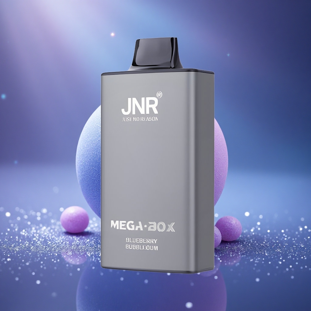 JNR Mega Box 25000 Bubblegum Myrtille Dual Mesh Charge Rapide