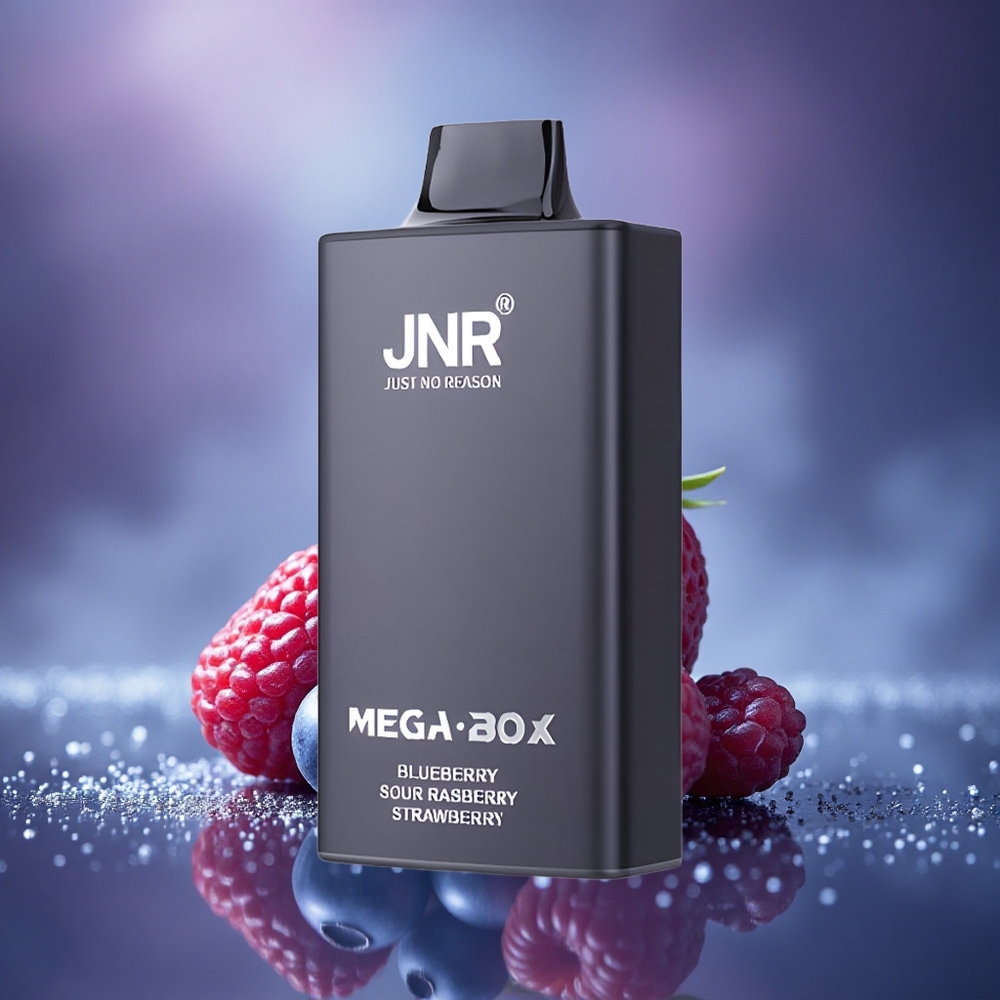 JNR Mega Box 25000 Framboise Acidulée Fraise Myrtille avec Double Bobine et Charge Rapide Type-C