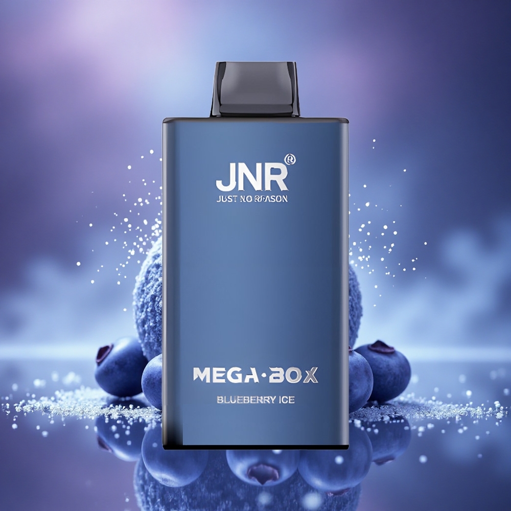JNR Mega Box 25000 Glace Myrtille Dual Mesh Charge Rapide