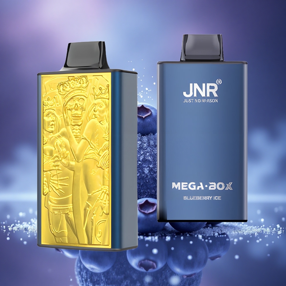 JNR Mega Box 25000 Glace Myrtille Dual Mesh Charge Rapide