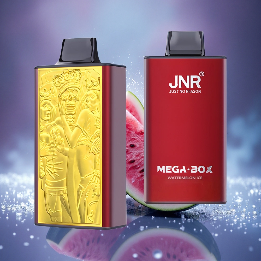 JNR Mega Box 25000 Glace à la Pastèque Dual Mesh 30ml