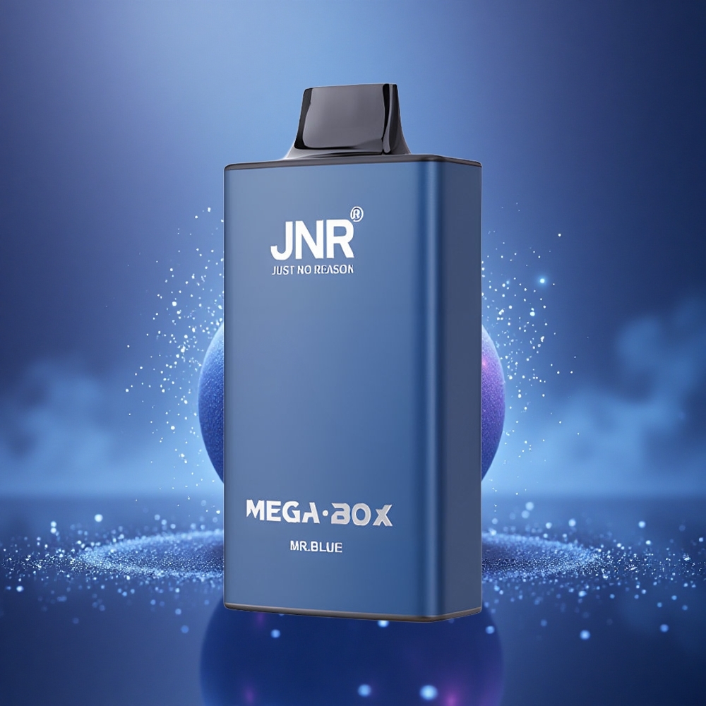 JNR Mega Box 25000 Monsieur Bleu Dual Mesh 30ml Type-C