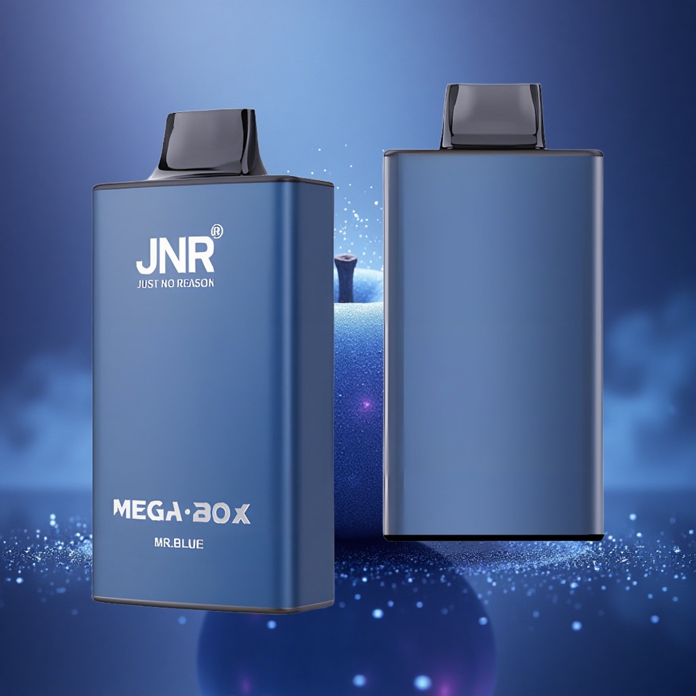 JNR Mega Box 25000 Monsieur Bleu Dual Mesh 30ml Type-C