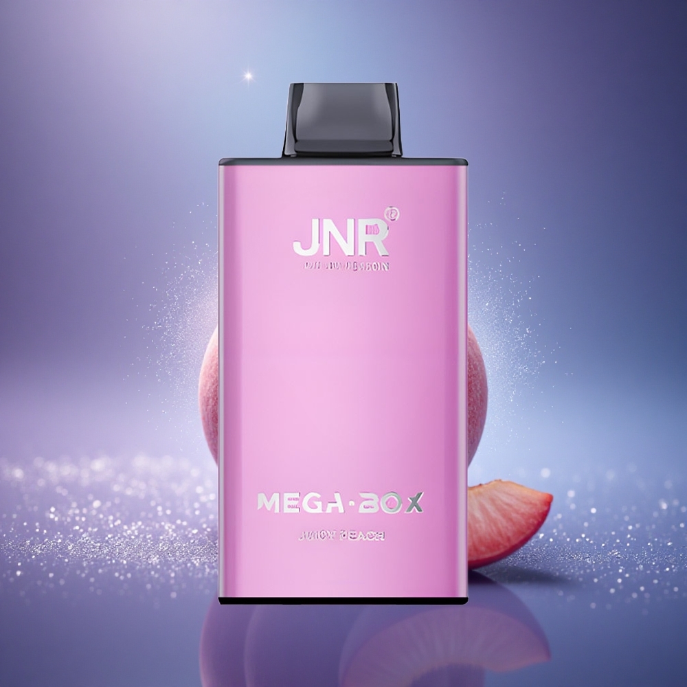 JNR Mega Box 25000 Pêche Juteuse Dual Mesh 30ml Type-C