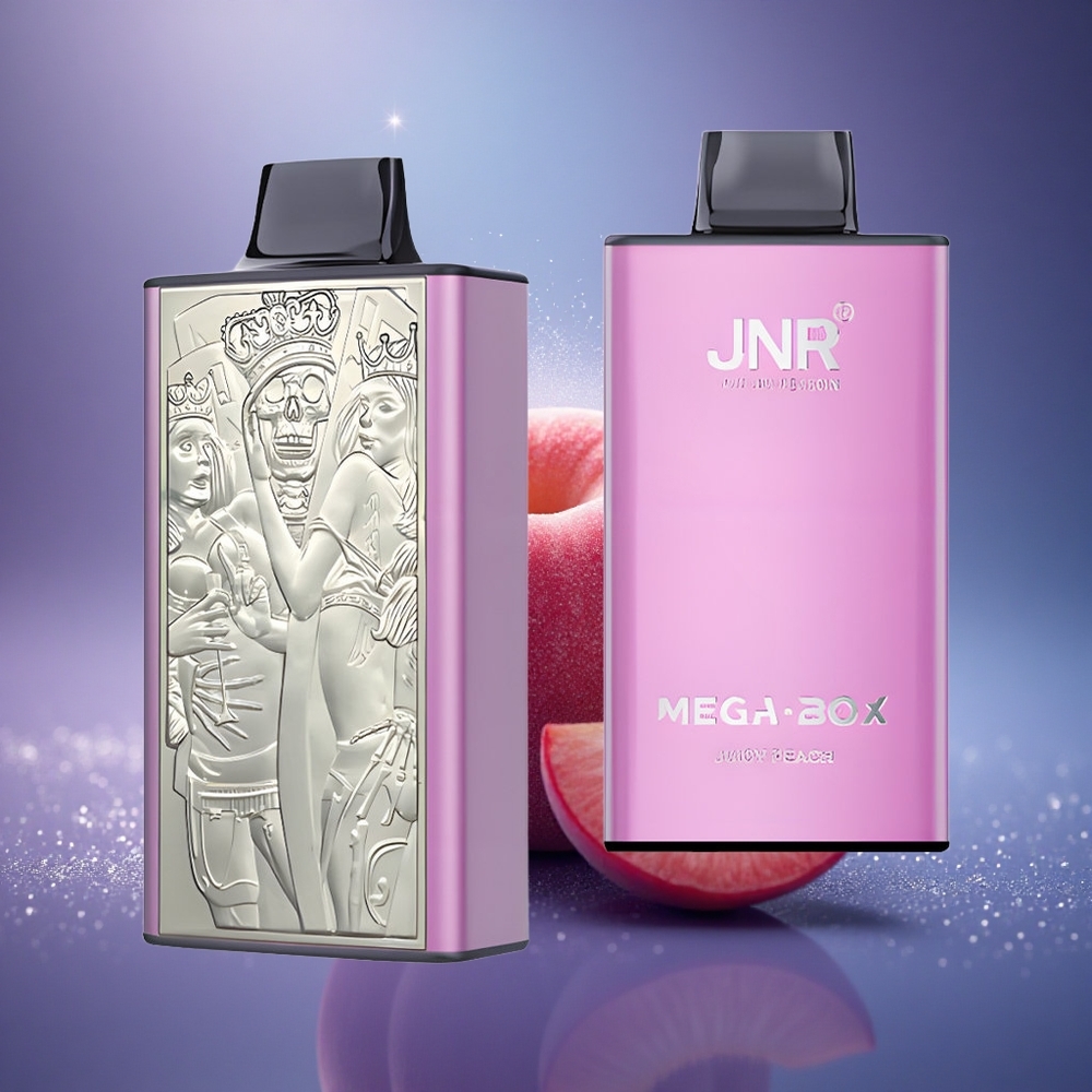 JNR Mega Box 25000 Pêche Juteuse Dual Mesh 30ml Type-C