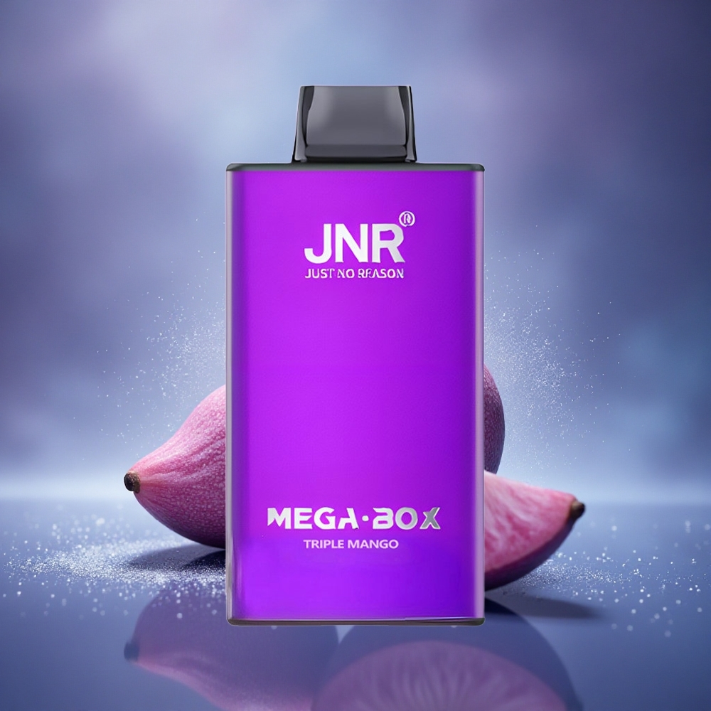 JNR Mega Box 25000 Triple Mangue Double Coeur et Charge Rapide