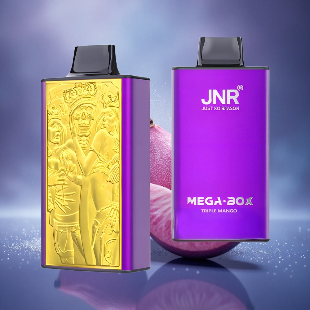 JNR Mega Box 25000 Triple Mangue Double Coeur et Charge Rapide
