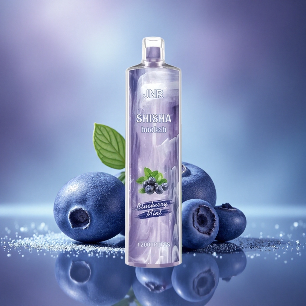 JNR Shisha Hookah 12000 Menthe Myrtille 24ml 750mAh