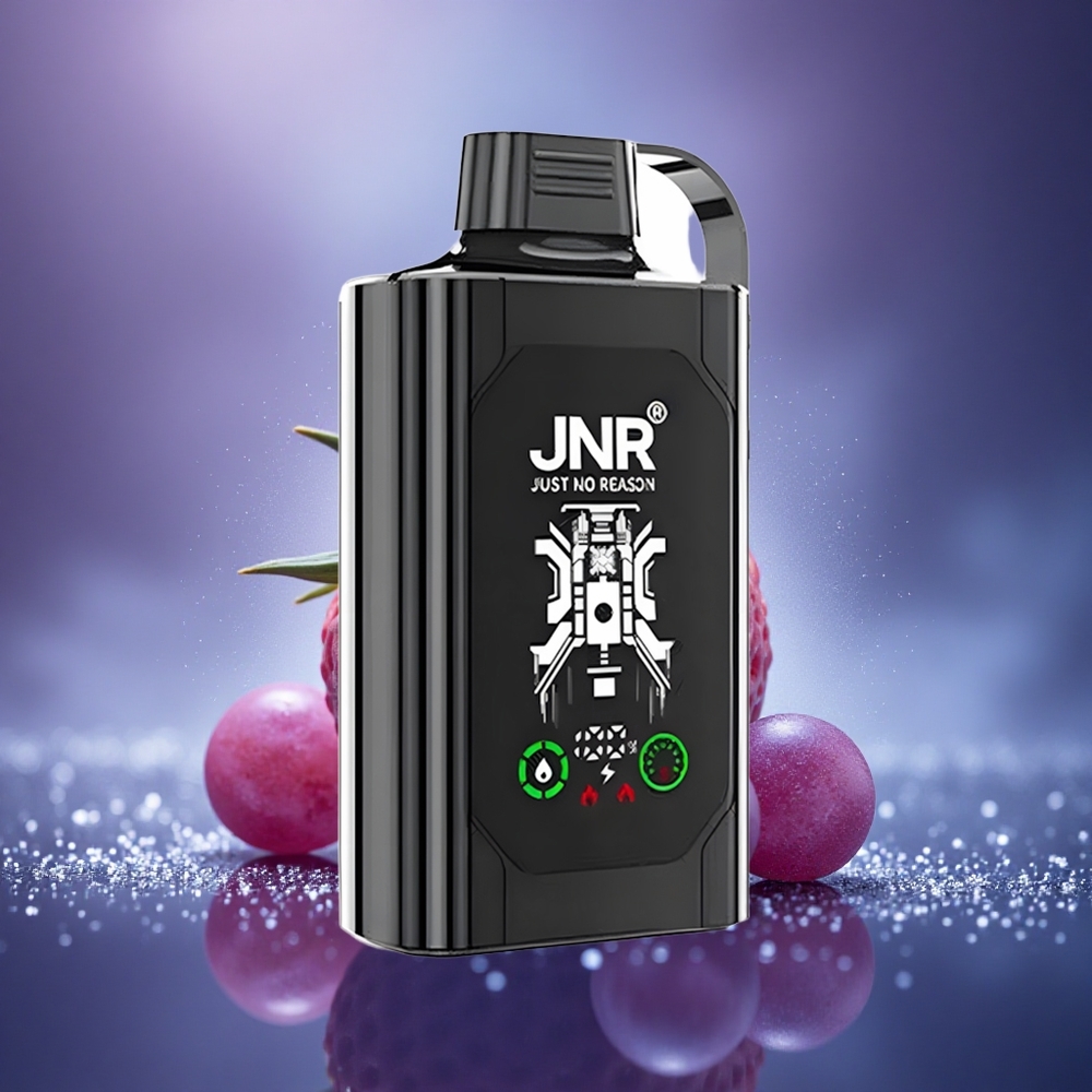 JNR Shisha Hookah Box 20500 Fraise Raisin HD Dual Mesh Charge Rapide Type-C