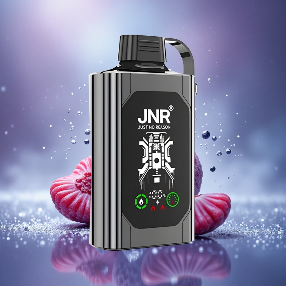JNR Shisha Hookah Box 20500 Glace aux Baies Mixtes avec Double Mesh Coil et Charge Rapide Type-C