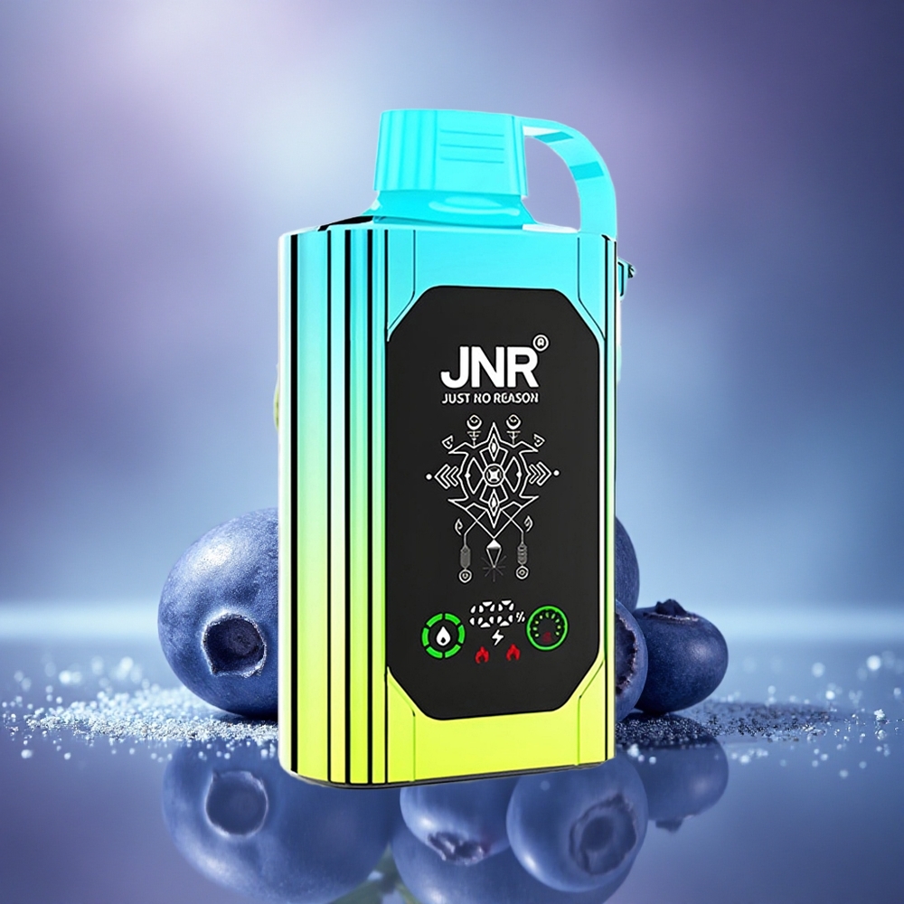 JNR Shisha Hookah Box 20500 Menthe Myrtille HD Dual Mesh Charge Rapide Type-C